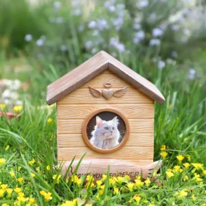 house-shaped-resin-pet-memory-box-with-photo-frame (3) There is a pet keepsake box for cat on the grass